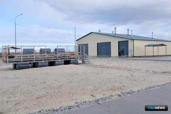 На Ямале открыли завод для подращивания рыбной молоди На Ямале открыли завод для подращивания рыбной молоди