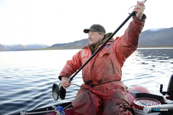 Киты продемонстрировали ученым свою индивидуальность