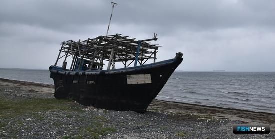 Рыболовство КНДР: от плановой экономики к вынужденному браконьерству