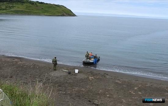 Чилимы Татарского пролива отдохнут от браконьеров Чилимы Татарского пролива отдохнут от браконьеров