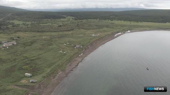 Чилимы Татарского пролива отдохнут от браконьеров Чилимы Татарского пролива отдохнут от браконьеров