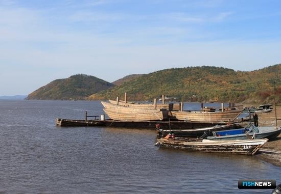 Амур завершает «красную» путину Амур завершает «красную» путину