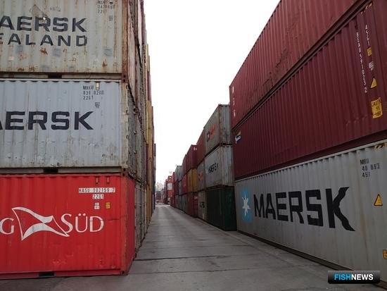 Контейнерный сегмент ждет от рыбаков долгосрочного планирования
