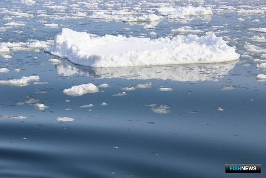 Изменения климата повлияли на уловы