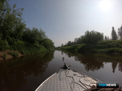 Ученые собрали материал по рыбным запасам Западной Сибири