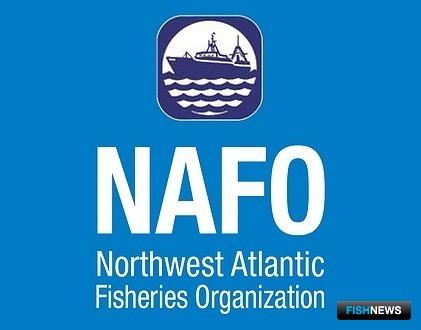 НАФО сохранила важные для России квоты