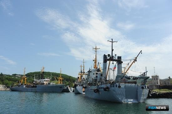 Приморский Россельхозбанк рассказал о перспективах в рыбной отрасли Приморский Россельхозбанк рассказал о перспективах в рыбной отрасли