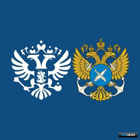 КМНСам готовят доступ к рыбе без заявок