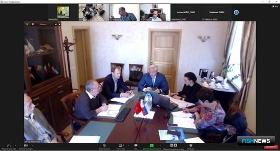 Ученые готовятся к новым рыбным съемкам в акватории Марокко