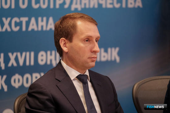 Россия и Казахстан будут вместе спасать каспийского тюленя