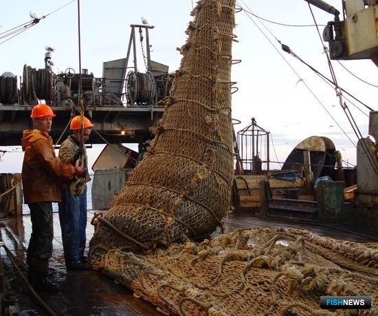 Науке обещают десять новых судов