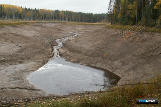 Карстовое озеро под Вологдой не перестает удивлять
