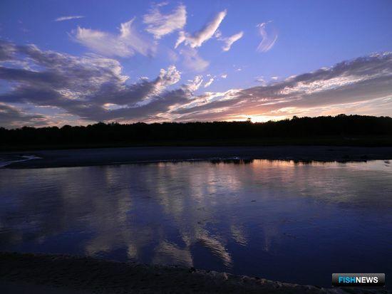 Китайский интернет-портал нашел у коронавируса американскую родину