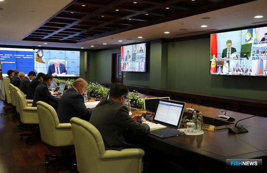 ЕЭК одобрила электронную ветсертификацию