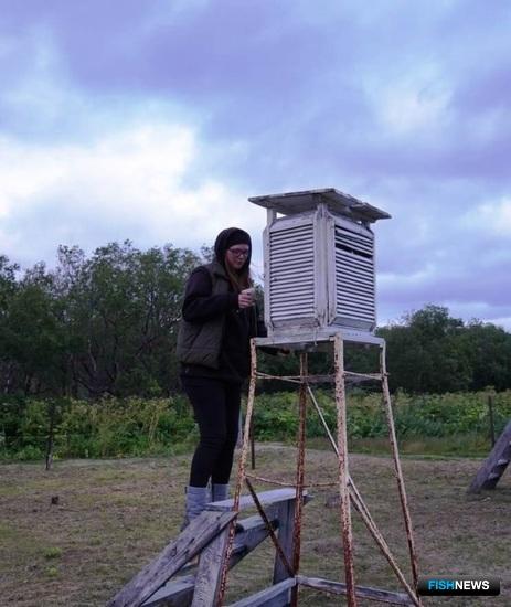 Специалисты испробовали новые методы для учета озерновской нерки