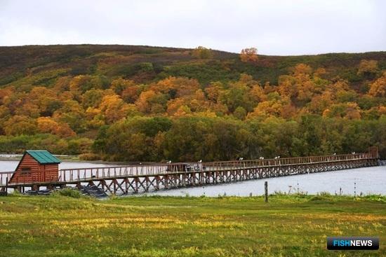 Специалисты испробовали новые методы для учета озерновской нерки