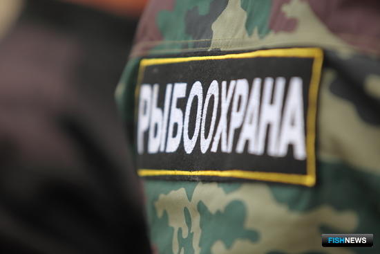 Эффективность рыбоохраны предлагают рассчитывать по формуле Эффективность рыбоохраны предлагают рассчитывать по формуле