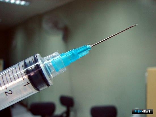 Для рыбной отрасли Приморья прописали обязательную вакцинацию Для рыбной отрасли Приморья прописали обязательную вакцинацию