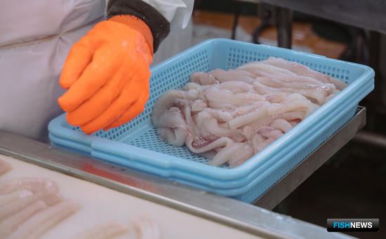 АСРФ представила обоснования в пользу морской переработки АСРФ представила обоснования в пользу морской переработки