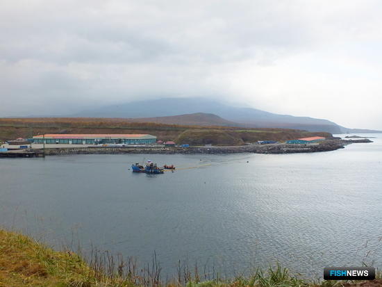 Вице-премьеры проверят выполнение поручений Михаила Мишустина