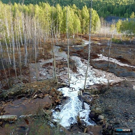 Росрыболовство поучаствует в спасении рек Прикамья