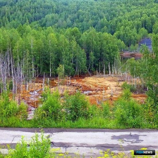 Росрыболовство поучаствует в спасении рек Прикамья