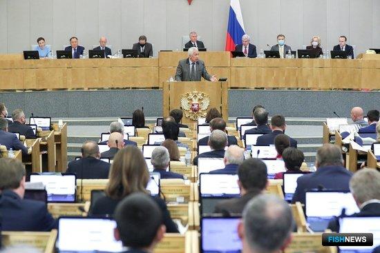 Промысел китов в России предложено запретить на уровне закона