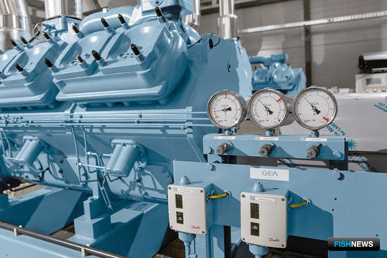 GEA Grasso: высокие требования к промышленному холоду GEA Grasso: высокие требования к промышленному холоду