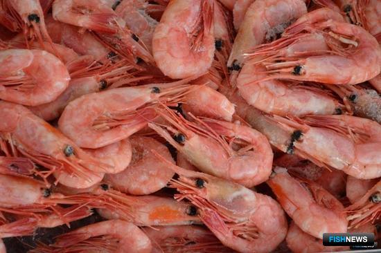 Список для установления ОДУ обновили