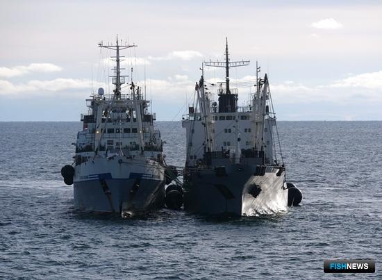 ВАРПЭ указала на угрозу для морских перегрузов рыбы ВАРПЭ указала на угрозу для морских перегрузов рыбы