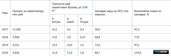 Ученые представили свой взгляд по ситуации на Амуре