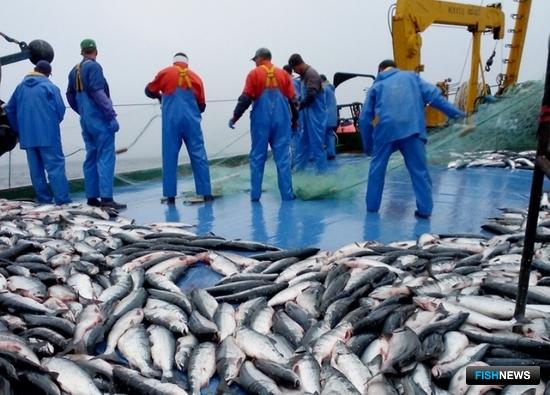 Камчатка опасается возвращения дрифтера