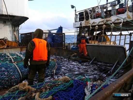 Сборы с рыбаков просят оставить в регионах Сборы с рыбаков просят оставить в регионах