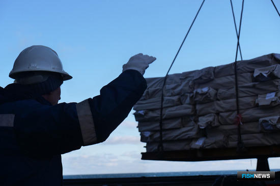 Минтранс намерен экономить время экспортеров