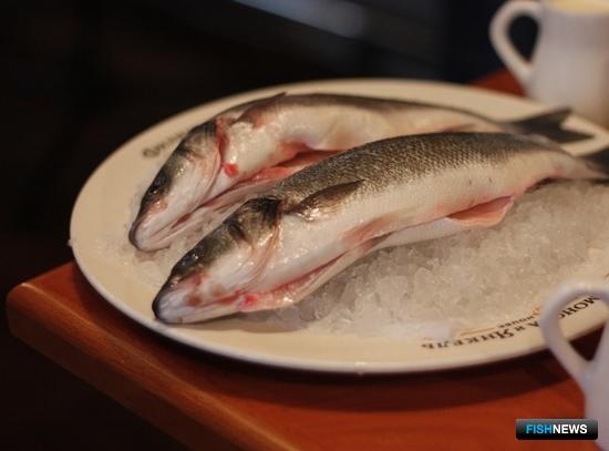 Правительство и РАН актуализируют рекомендации по питанию Правительство и РАН актуализируют рекомендации по питанию