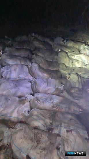 &laquo;Астраханка&raquo; с нелегальным уловом не ушла от преследования