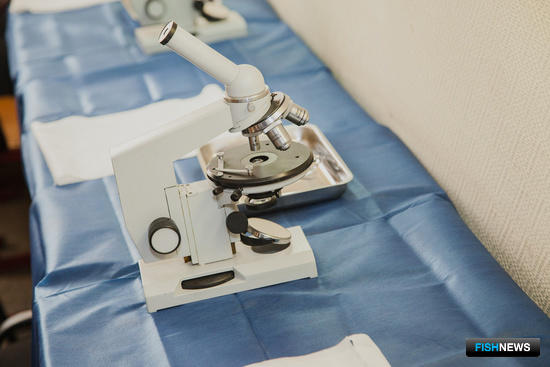 Ветправила по борьбе с болезнями рыб обновили Ветправила по борьбе с болезнями рыб обновили