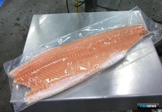 Лосось и мидии Чили перейдут на электронное оформление