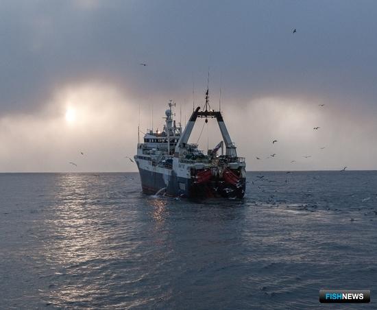 Сенаторам предложат подумать о статусе наблюдателей