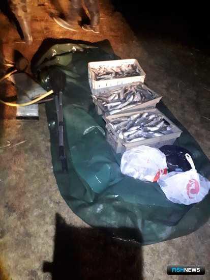 Ночную рыбалку на ООПТ пресекли рыбинспектор и полицейские