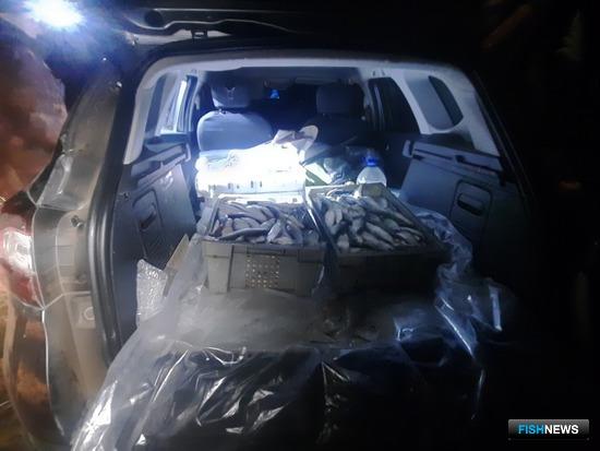 Ночную рыбалку на ООПТ пресекли рыбинспектор и полицейские