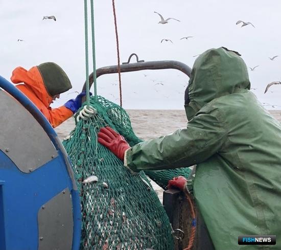 Наука вернулась к траловым съемкам на Ильмене