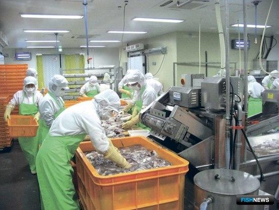 Южная Корея прибавила в рыбном экспорте