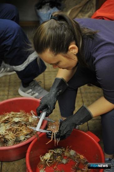 Наука обновила данные о запасах дальневосточных морей Наука обновила данные о запасах дальневосточных морей