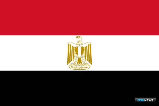 Египет добился «рыбной независимости» Египет добился «рыбной независимости»