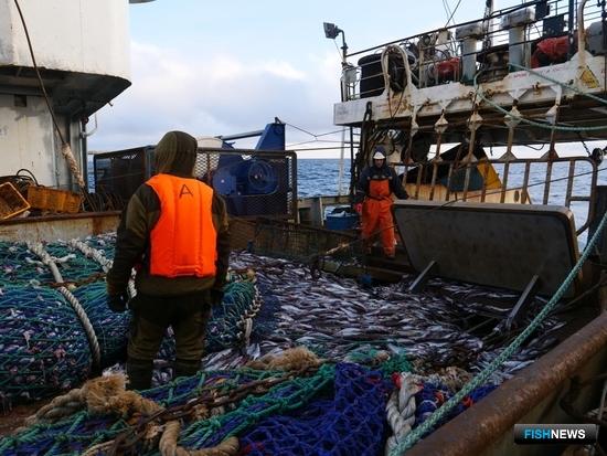 Сенаторы дали поручение по промысловым сборам