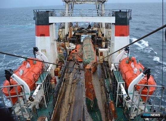 Росрыболовство представило позицию по инвестквотам и аукционам