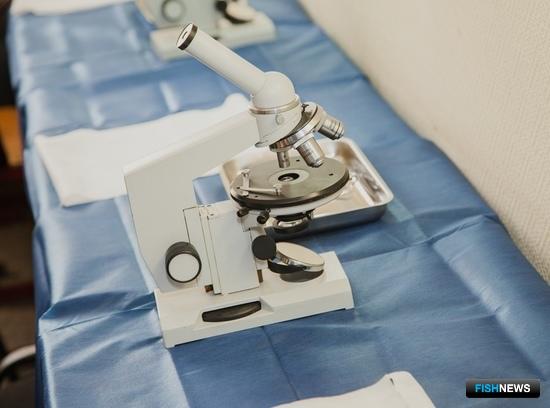 Проект правил ветеринарно-санитарной экспертизы обновили Проект правил ветеринарно-санитарной экспертизы обновили