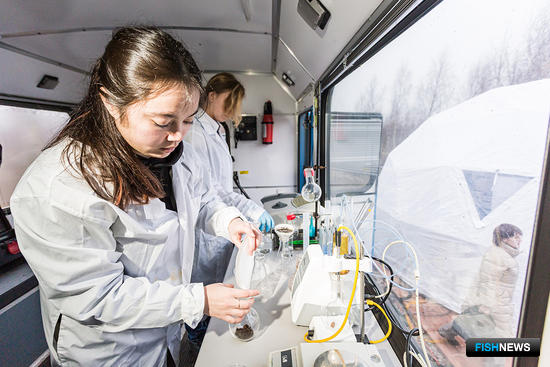 Углеродный след от водорослей измерят на Балтике