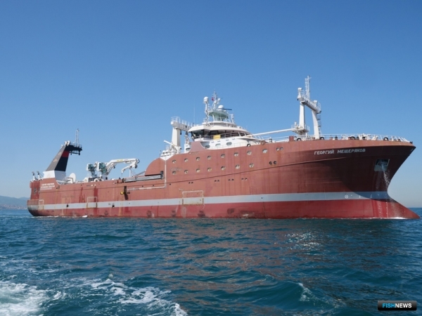 Исторический день &laquo;Георгия Мещерякова&raquo;